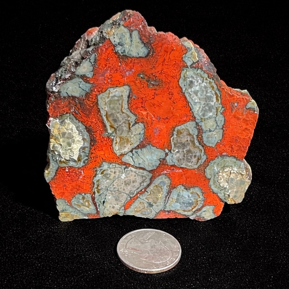 Vibrant Tipara Jasper Stone from Indonesia 3.1 oz 8mm thick